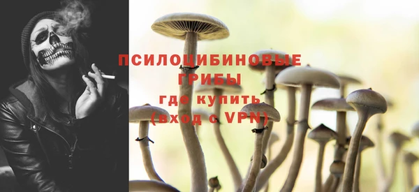 mdpv Верея