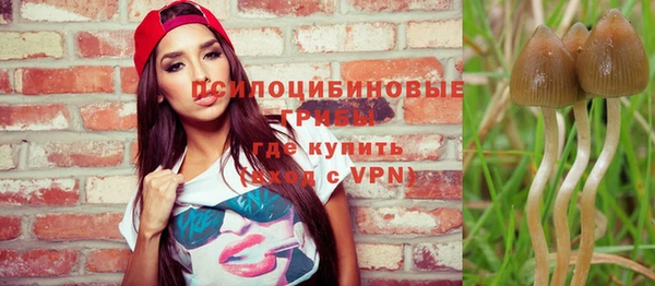 СК Бронницы